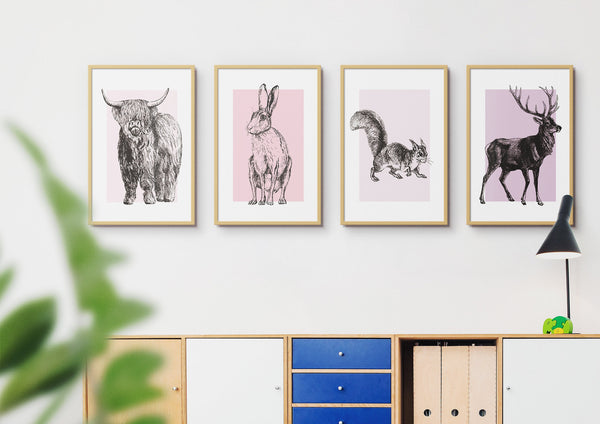 Scottish Animals Set Of Four Colour Unframed Print